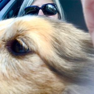 Meet your Posher, Velia